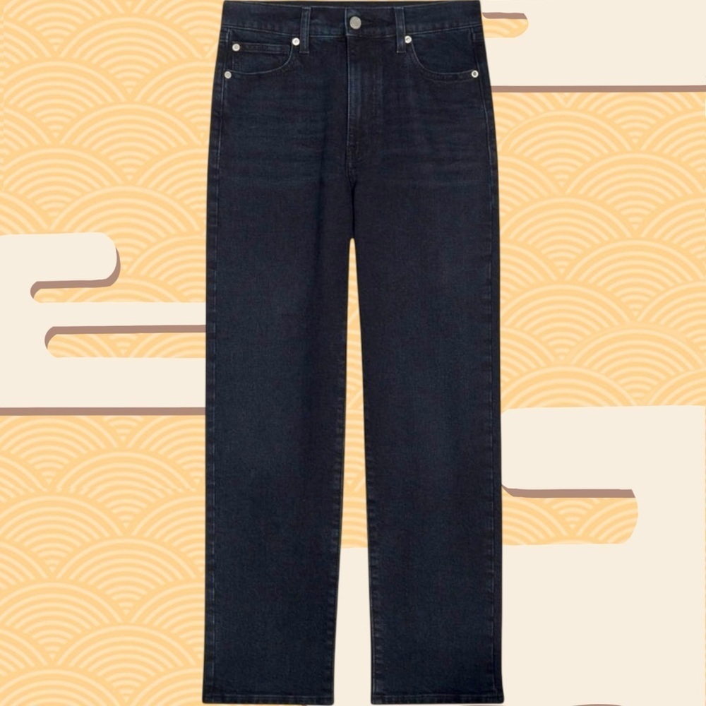 NWT IRO ‘Deen’ Straight Leg Cropped Jeans in “Blue / Black” Wash Size 24